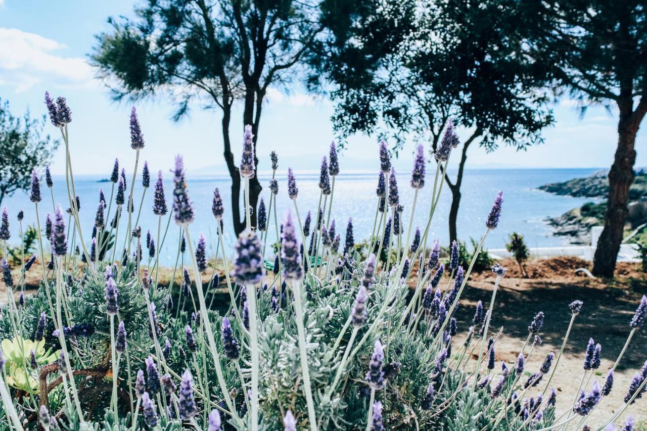 오르노스 The Elaia House Mykonos 빌라 외부 사진