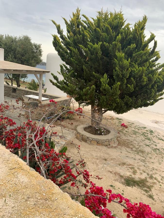 오르노스 The Elaia House Mykonos 빌라 외부 사진